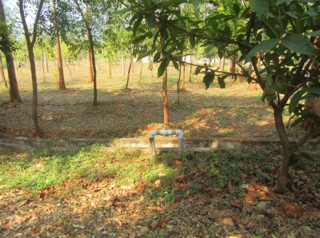 567966489-4) Li id 368 - Pic 5.JPG